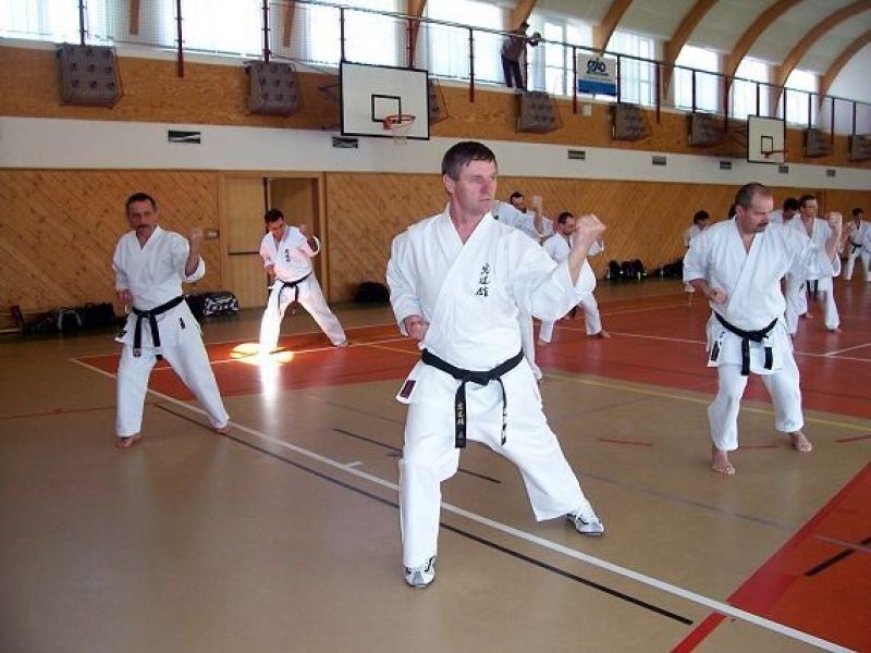 Seminář O. Higa 9. DAN Jičín 04/2008