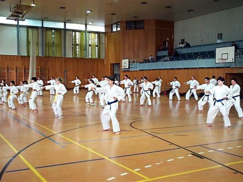 Seminář O. Higa 9. DAN Tanvald 10/2007