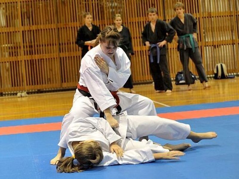 Národní pohár SHIKON Budokai Tanvald 11/2008